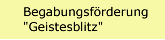 Begabungsf&ouml;rderung