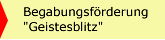 Begabungsf&ouml;rderung