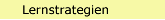 Lernstategien