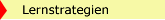 Lernstategien